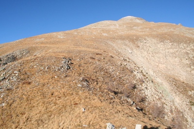 b 264.jpg