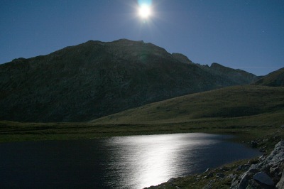 m008b.jpg