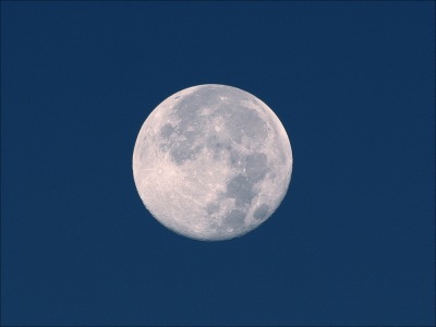 m073a82.jpg