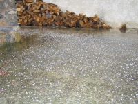 t 025.jpg