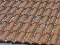 t 028.jpg