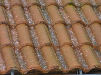 t 029.jpg