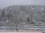 nPhoto 015.JPG