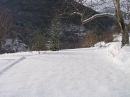 n 007.jpg
