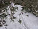 n 019.jpg