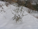 n 020.jpg