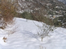 n 042.jpg